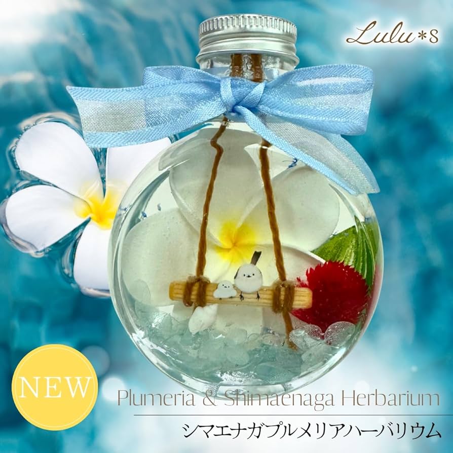 Amazon｜Lulu's ルルズ プルメリア シマエナガ ハーバリウム 夏